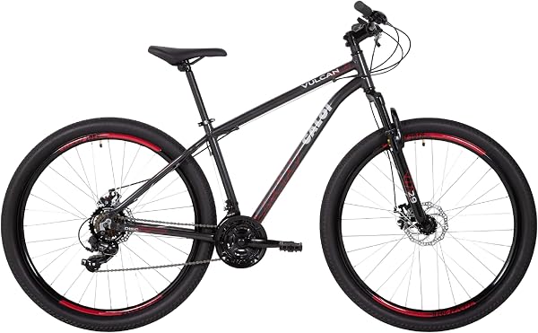 Melhores Bicicletas para Levar os Filhos